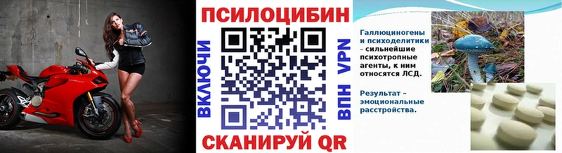 Галлюциногенные грибы GOLDEN TEACHER  купить   Ачхой-Мартан 